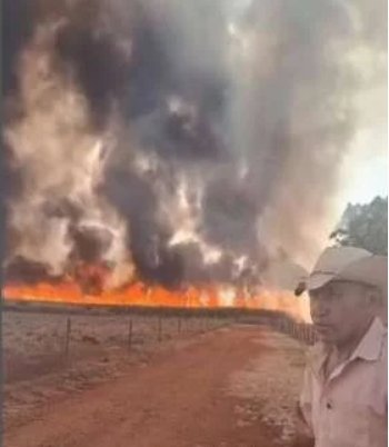 Incêndio em área rural de Mato Grosso ameaça rebanho e residências e assuntam moradores